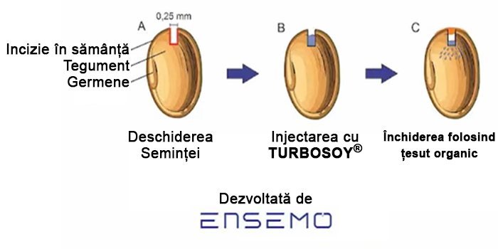 Ensemo